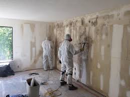 Best Water Damage & Mold Remediation  in Berly, MO